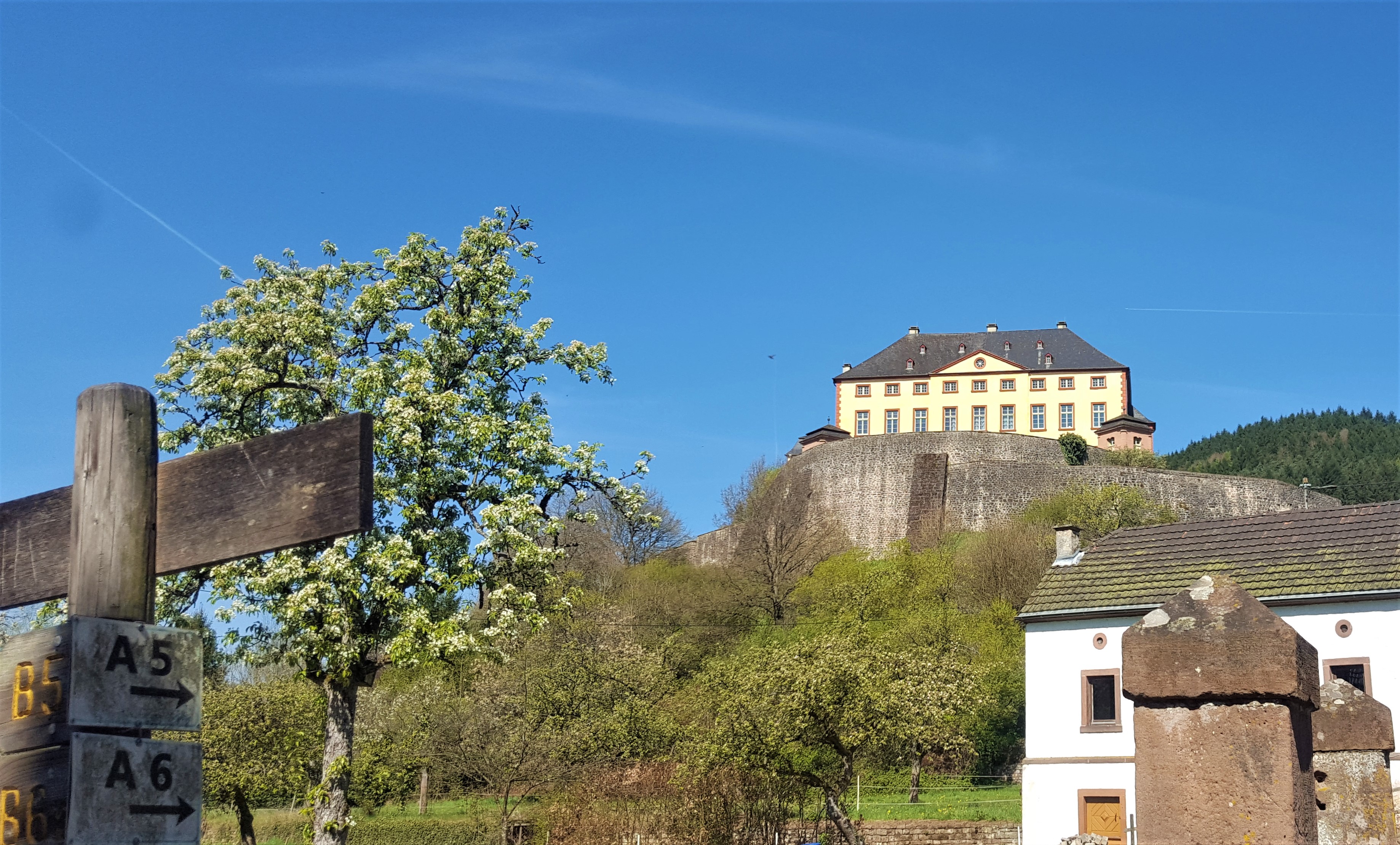 vakantiehuis eifel